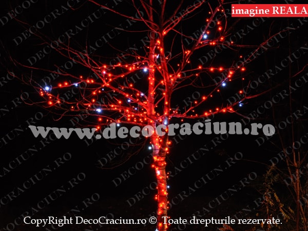 Instalatie lumini Craciun exterior copac leduri rosii efect stroboscopic